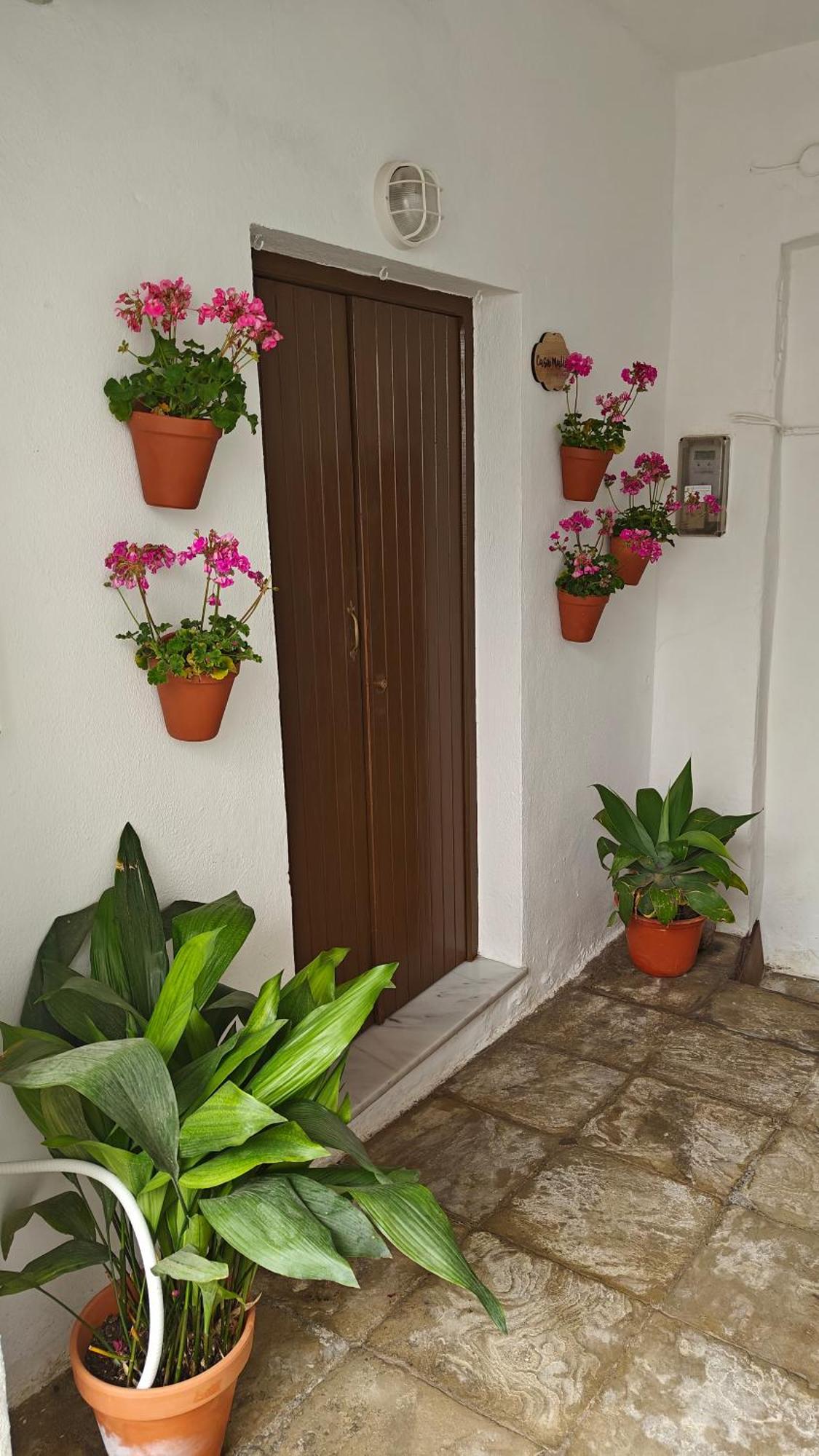 Casa Malia Apartamento Recien Reformado En Centro Vejer de la Frontera Εξωτερικό φωτογραφία